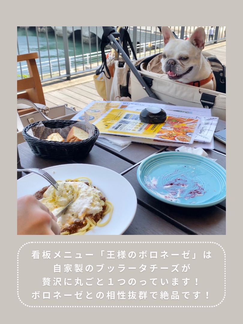 犬のチーズ専門店☆ チューデントボーン チーズ S | ペット用品（犬） 通販