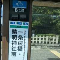 京都の市バスで、１日券を利用して、乗り継ぎしながら移動したり、散策したり。