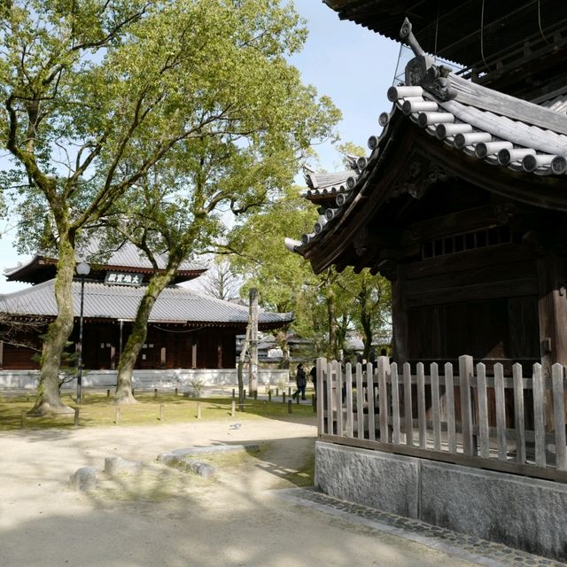 두근두근여름휴가 일본 후쿠오카 사찰 여행 Shofukuji 聖福寺