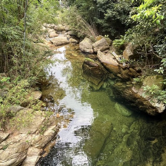 🌳🏞️🌺寫意遊亞婆田白水寨自然生態旅遊度假區🏕️🌄