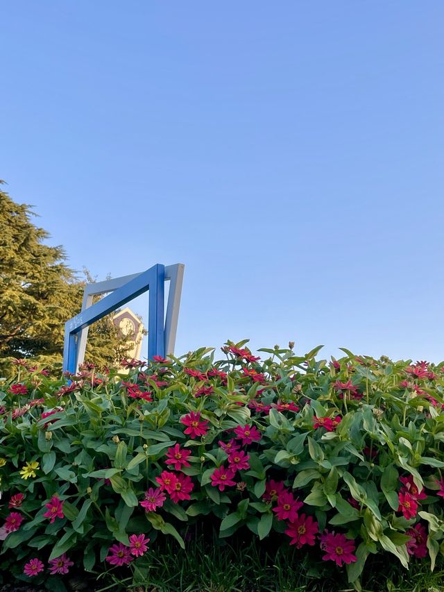 특별한 동상이 세워져 있는 자유공원 정상