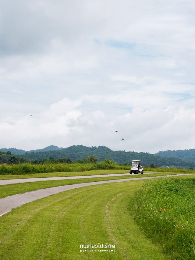 🌱One Day Trip ที่ไร่สิงห์ปาร์ค เชียงราย