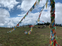 Golden Statues and Crystal Lakes