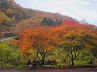 The foliage at Hananuki Gorge