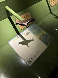 1 วัน ชม National Taiwan Museum ในวันฝนตก