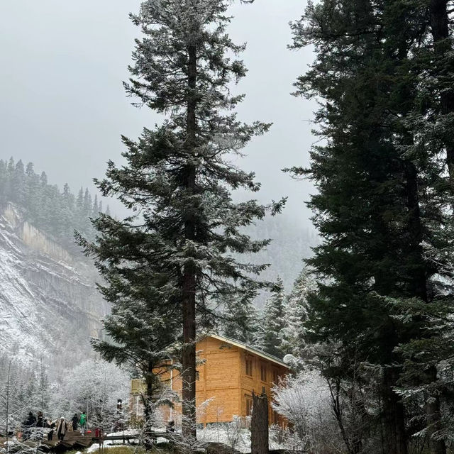 格倫科❄️🏘️冬日仙境⛷️🏔️