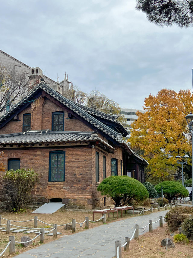 대구의 몽마르트 청라언덕
