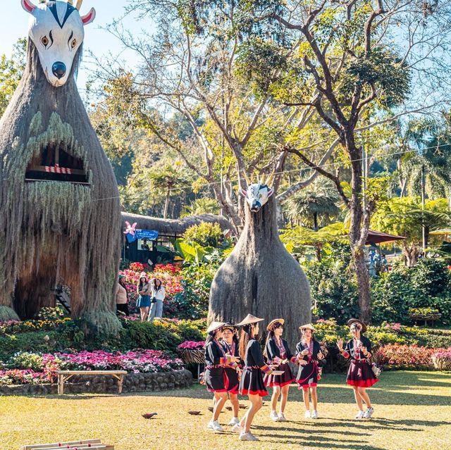 ชวนเที่ยวงานดอกไม้ ที่สวนแม่ฟ้าหลวง ดอยตุง