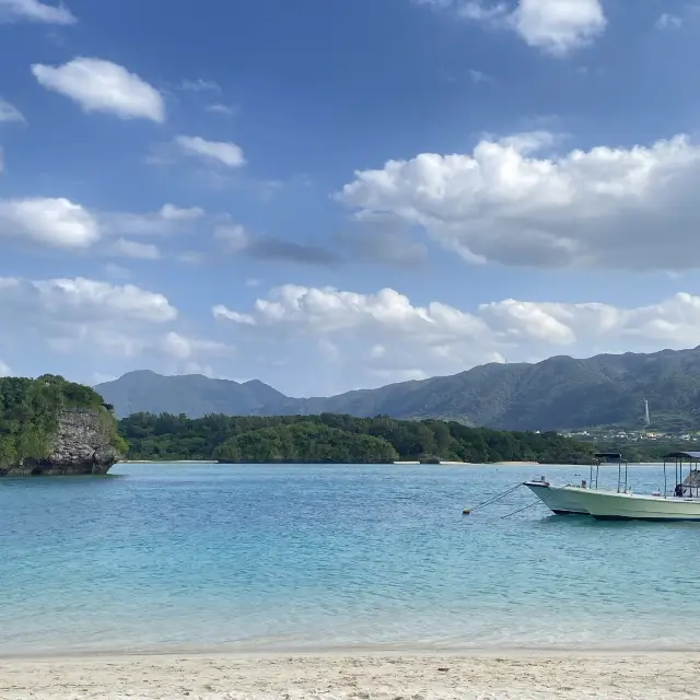 沖縄 癒される石垣島🐬🫧‪