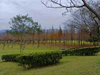 『大溪河濱公園』