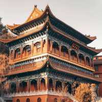 【台灣必去】知名禪林！忘憂谷觀音寺