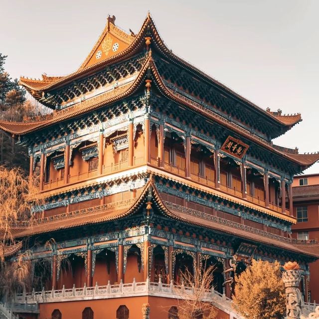 【台灣必去】知名禪林！忘憂谷觀音寺