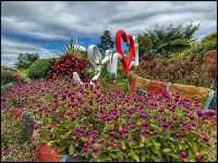 Flower spotting at Sirao Garden 🪴 