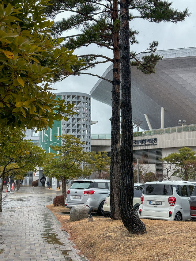 부산에 무료로 볼 수 있는 아쿠아리움, 국립해양박물관