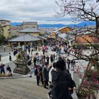 京都必逛景點“清水寺”