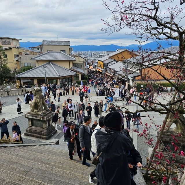 京都必逛景點“清水寺”