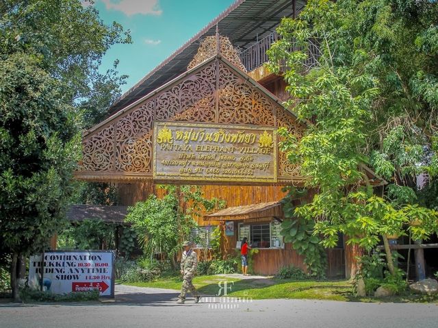 The Pattaya Elephant Village