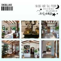 Cafe Shun：淡泊自然，遊思徜徉