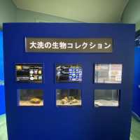 【茨城県】アクアワールド　大洗水族館