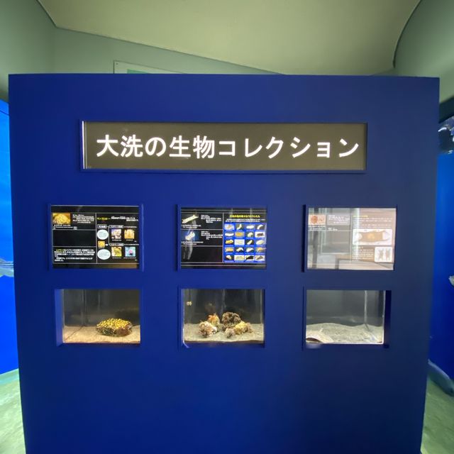 【茨城県】アクアワールド　大洗水族館