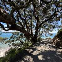 Captivated by Tauranga’s beauty 