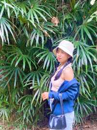 น้ำตกเชิงทอง แพร่