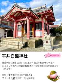 【平井白髭神社/東京都】広々とした境内と個性的な狛犬