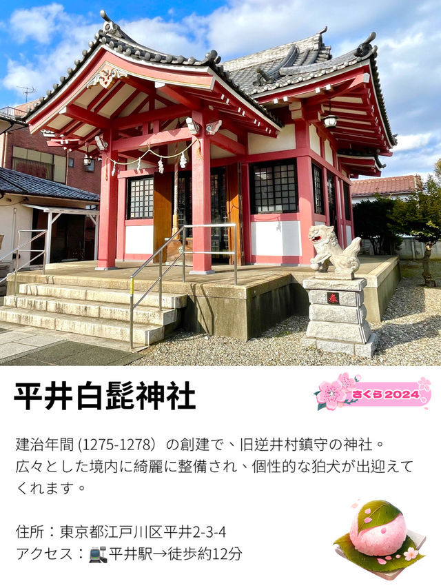 【平井白髭神社/東京都】広々とした境内と個性的な狛犬