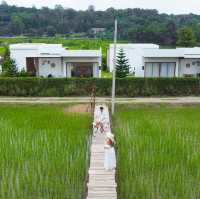 มาปัว ไม่มามานาปัว ถือว่ามาไม่ถึงนะคะ 🌱