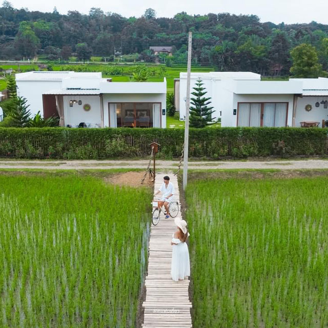 มาปัว ไม่มามานาปัว ถือว่ามาไม่ถึงนะคะ 🌱
