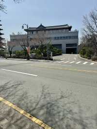 벚꽃피는 계절에 방문하기 좋은 경주 황룡원