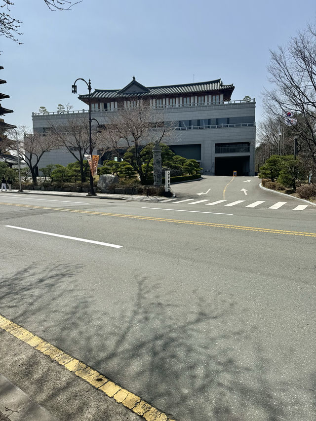 벚꽃피는 계절에 방문하기 좋은 경주 황룡원