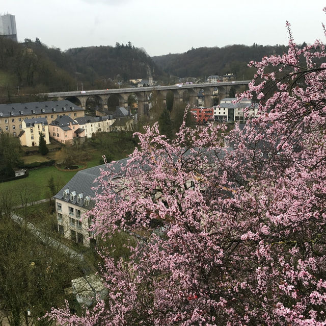 盧森堡市標—阿道夫橋