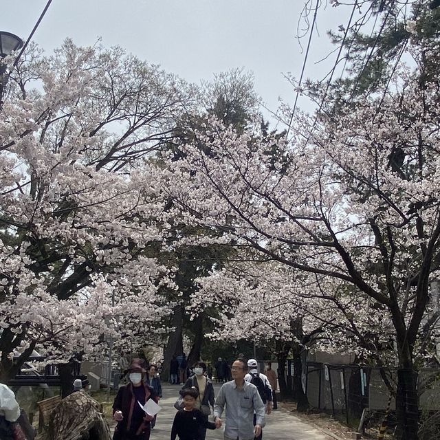 夙川公園