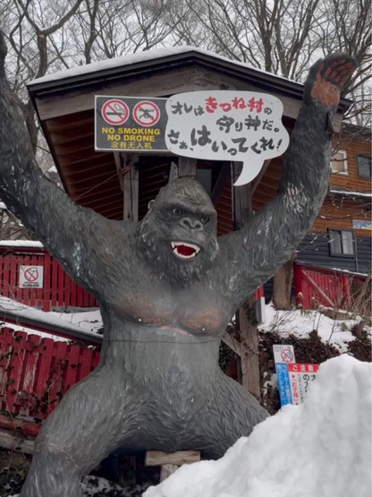 宮城】100匹のキツネに会える!蔵王キツネ村🦊🌿日本 | Trip.com 白石市