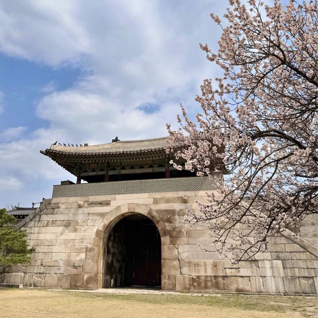Hanbok: Gyeongbokgung Palace 🌸 