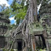 🌟 Mastering the small and grand circuits of Siem Reap🌟