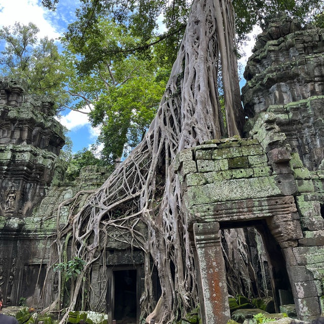 🌟 Mastering the small and grand circuits of Siem Reap🌟