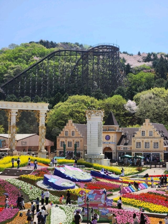 🌷지금가면 봄여행으로 찰떡인 "에버랜드 튤립축제"🌷