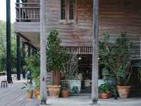 Little Tree Grocery คาเฟ่สุดชิคในม.มหิดล