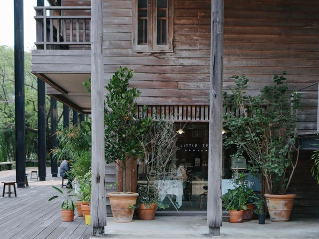 Little Tree Grocery คาเฟ่สุดชิคในม.มหิดล