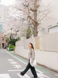 ปิกนิกชิลๆ ที่ ‘สวน Shinjuku Gyoen’ 🌸🌳