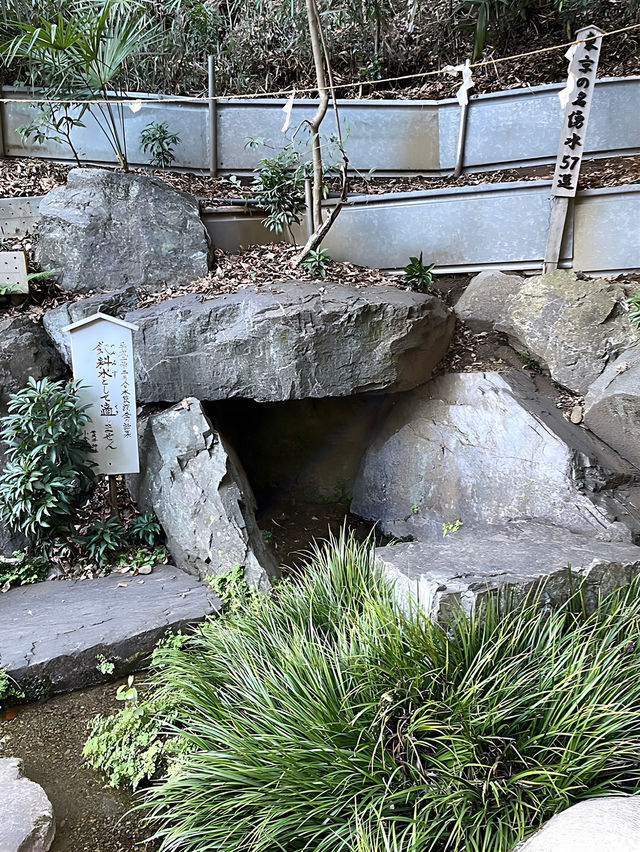 【貫井神社/東京都】湧水流れる美しい境内
