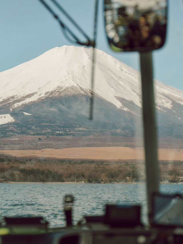 富士山好去處｜搭乘超人氣「河馬巴士」穿越森林與湖泊**