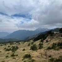 佘山國家森林公園：青翠山水畫捲