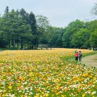 「大阪鶴見綠地公園：城市仙境，戶外康體樂」
