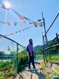 【大嶼山】愉景灣：探索悠閒時光的郊遊之旅