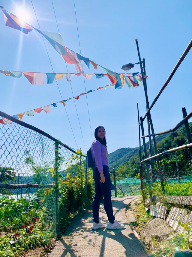 【大嶼山】愉景灣：探索悠閒時光的郊遊之旅