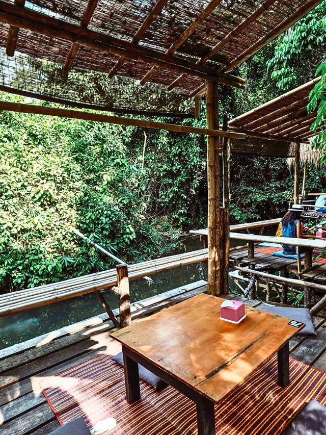 🌳ผ่อนคลายสบายใจกับ คาเฟ่บ้านต้นไม้ ☕