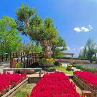 🌼 สวนลุงเวศน์ - #ตรัง 🌷🌻
